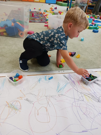 Poznáváme lesní zvířata